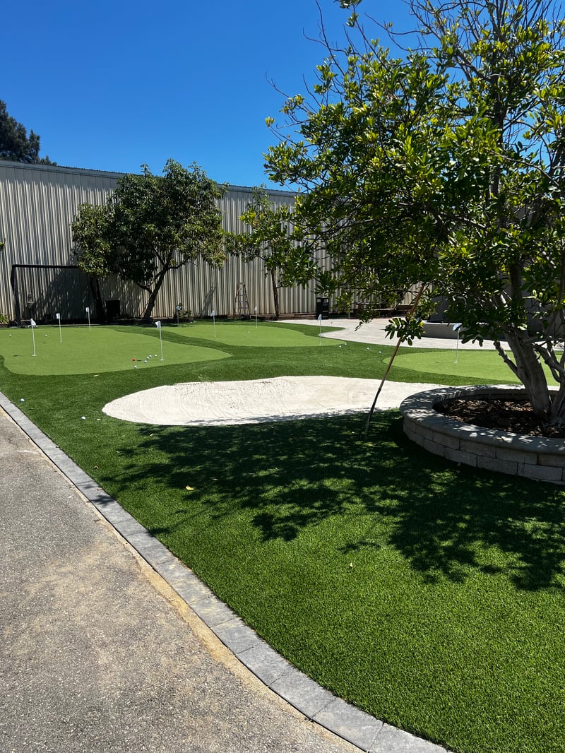 New Putting Green Commercial Area preview 10
