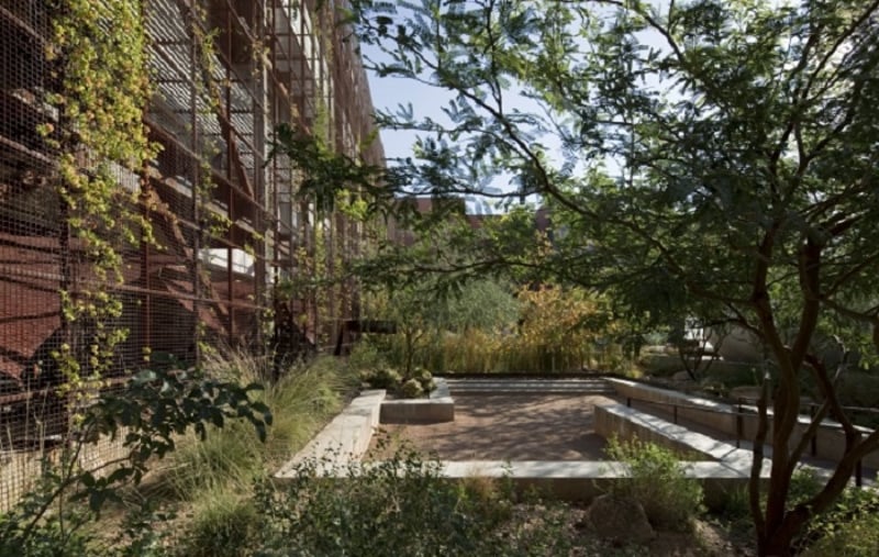 The College of Architecture and Landscape Architecture (CALA)