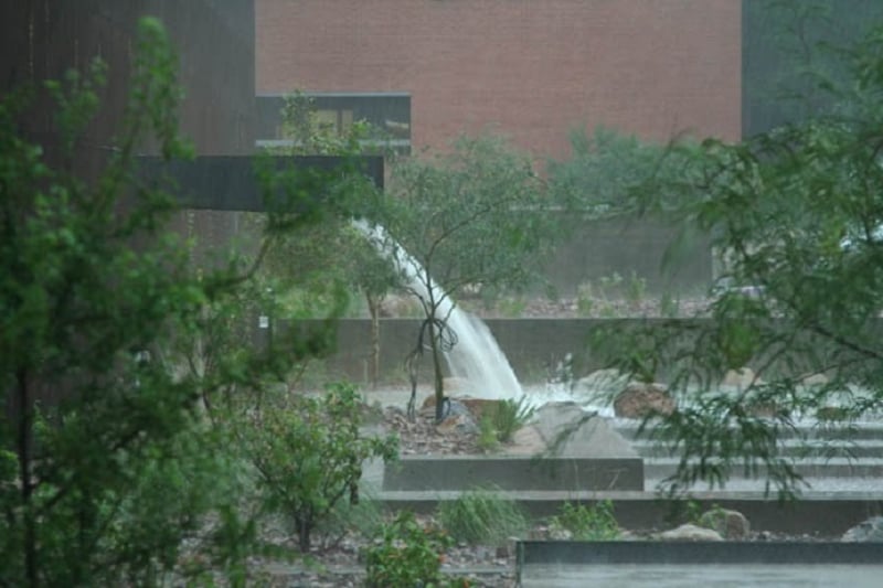 The College of Architecture and Landscape Architecture (CALA) preview 2