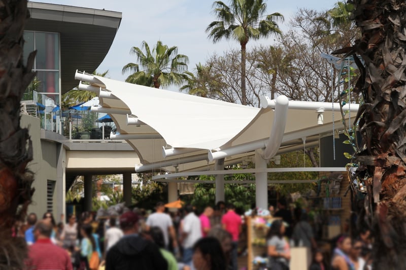 Aquarium of the Pacific preview 2