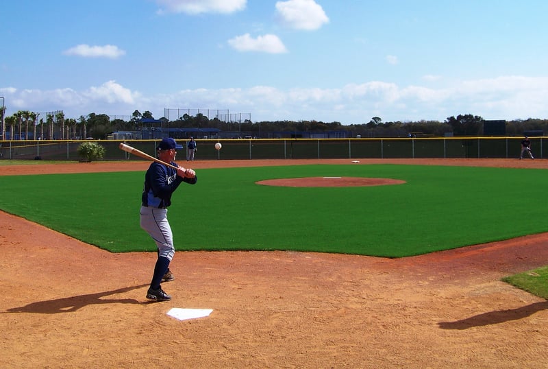 Tampa Bay Rays Half Field Retro-Fit