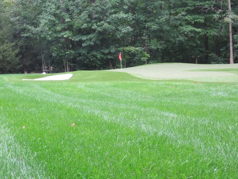 Extreme Putting Green with UBS preview 9