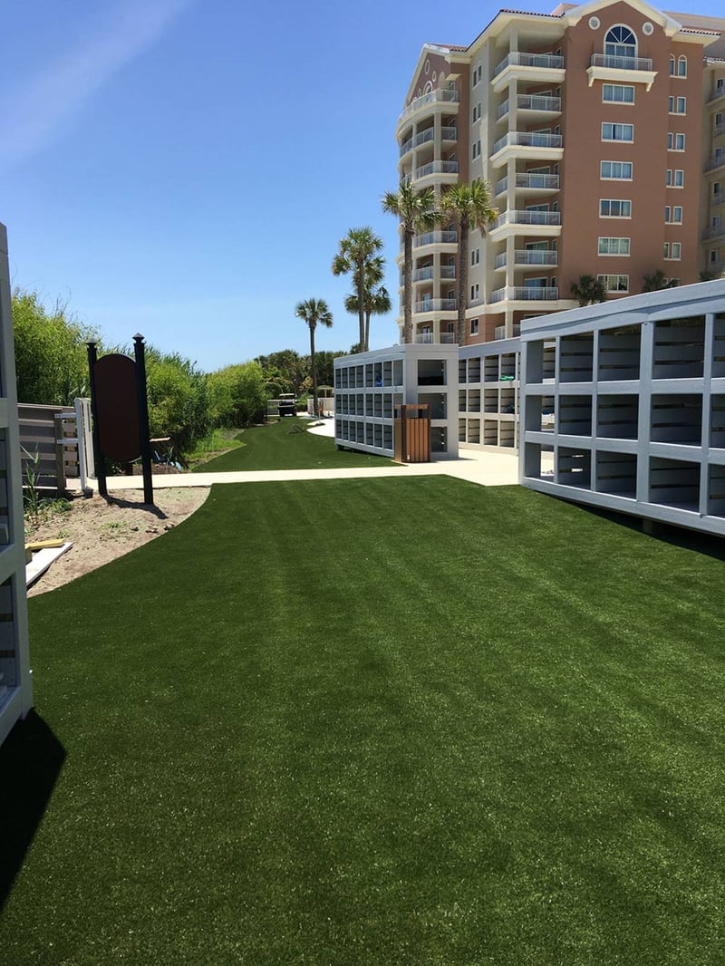 Synthetic Turf for Myrtle Beach by Peter Albanes preview 3