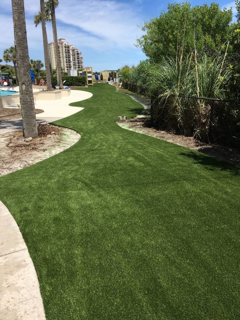 Synthetic Turf for Myrtle Beach by Peter Albanes preview 4