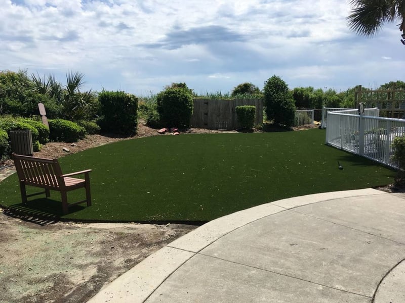 Synthetic Turf for Myrtle Beach by Peter Albanes preview 5