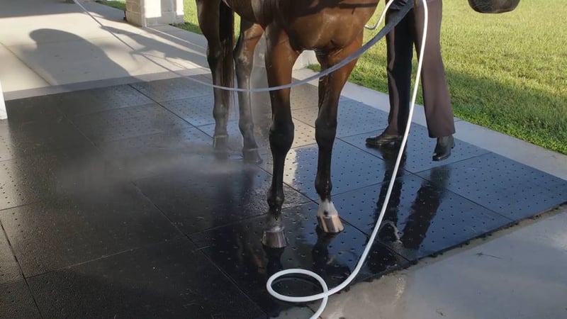 Ultra Base Floor Flex Equestrian and Livestock Panel preview 12