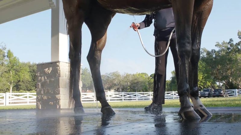 Ultra Base Floor Flex Equestrian and Livestock Panel preview 13
