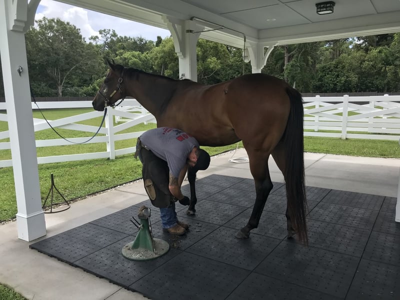 Ultra Base Floor Flex Equestrian and Livestock Panel preview 2