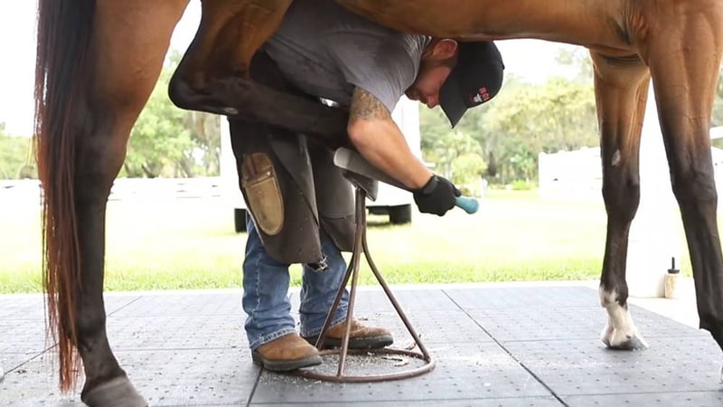 Ultra Base Floor Flex Equestrian and Livestock Panel preview 4