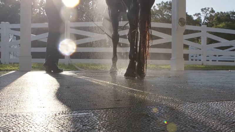 Ultra Base Floor Flex Equestrian and Livestock Panel preview 5