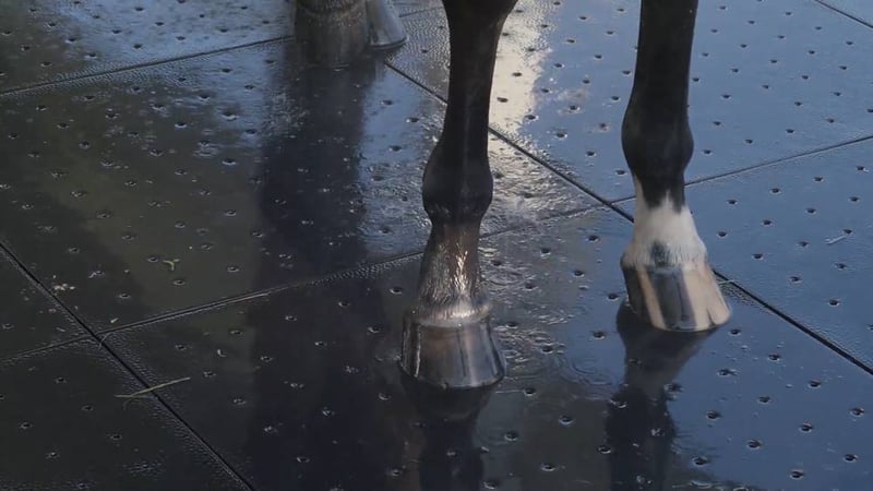 Ultra Base Floor Flex Equestrian and Livestock Panel preview 8
