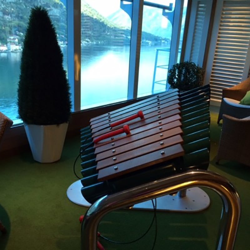 Majestic Princess Cruise Ship has Percussion Play Instruments in ‘Garden Paradise Above the Sea’  preview 2