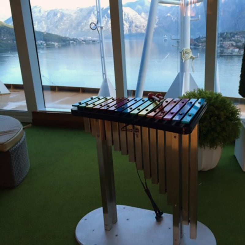 Majestic Princess Cruise Ship has Percussion Play Instruments in ‘Garden Paradise Above the Sea’  preview 4