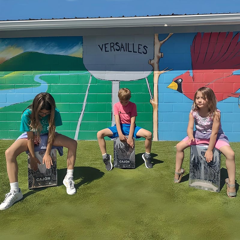 Town of Versailles preview 14