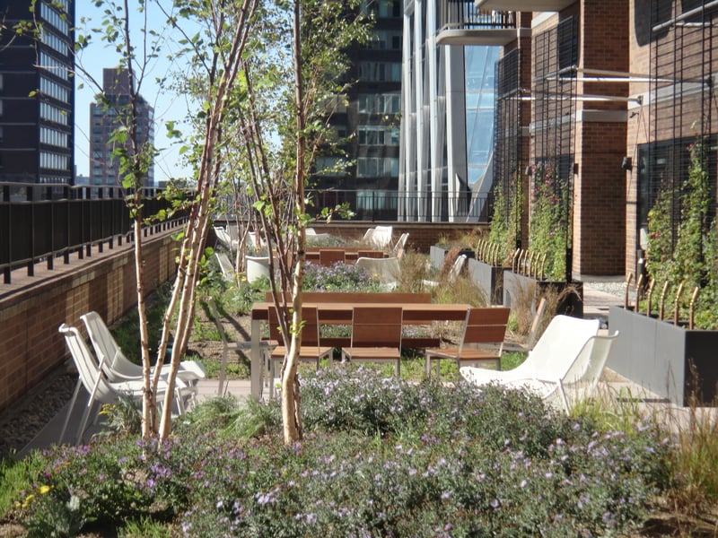 Symphony House