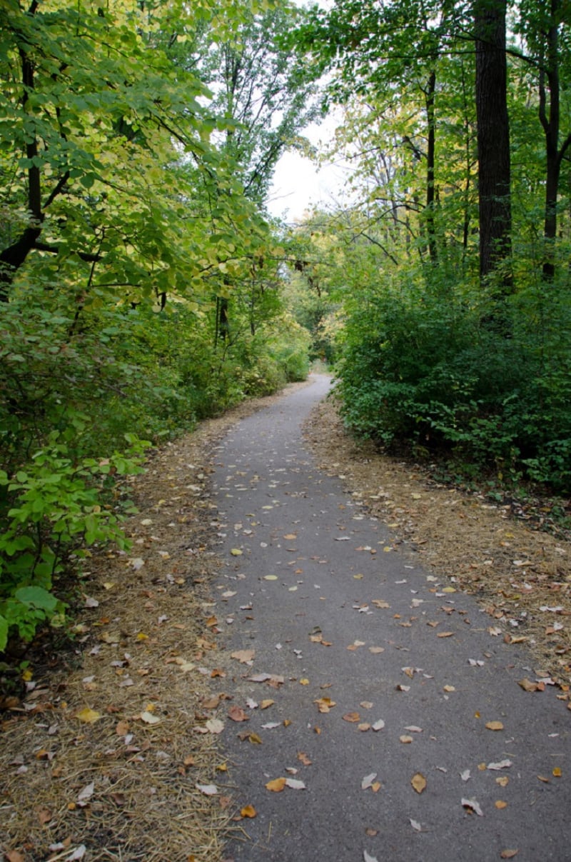 Pathway Through Perkins Woods
