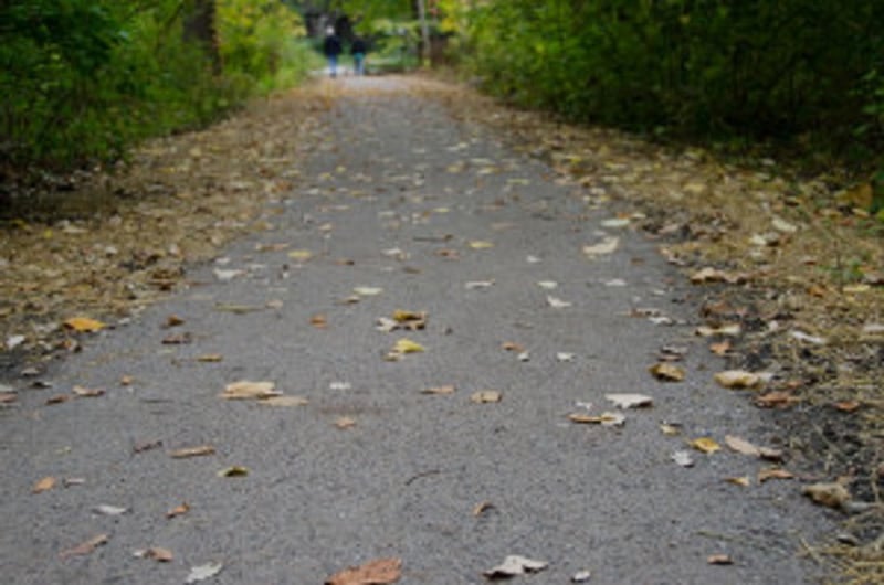 Pathway Through Perkins Woods preview 2
