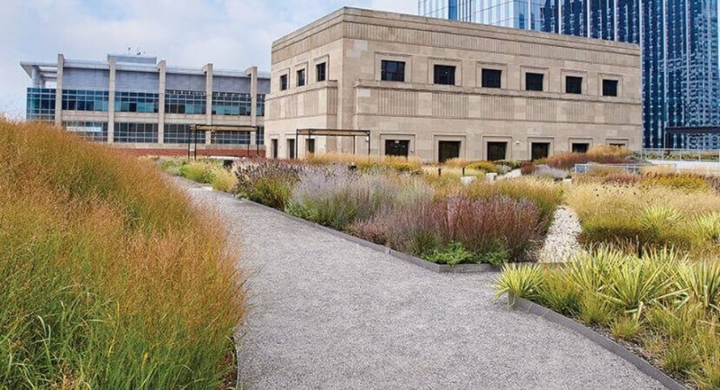 Old Post Office Rooftop Meadow preview 2