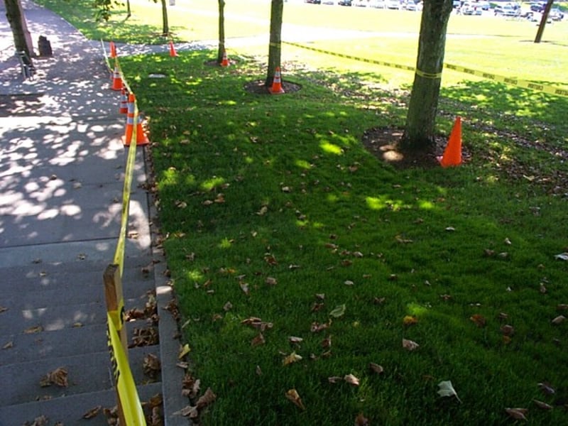 Green Spaces preview 2