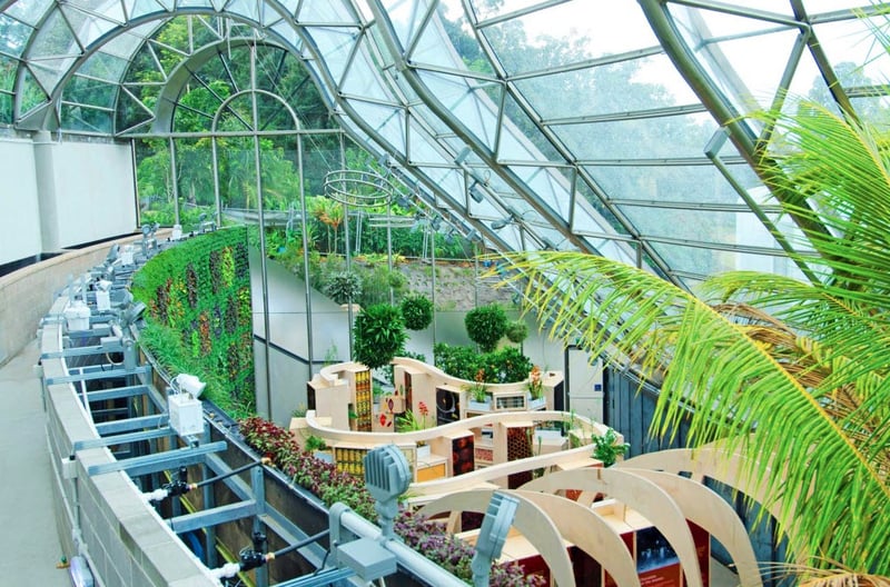 ROYAL BOTANIC GARDEN