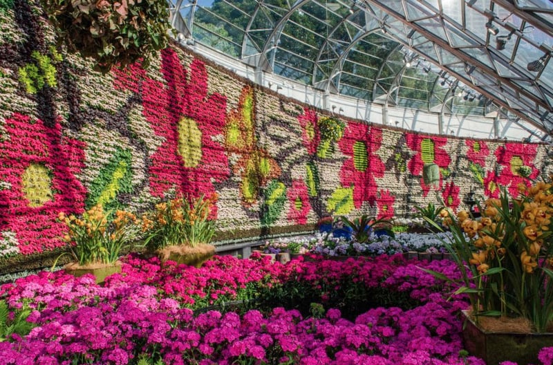 ROYAL BOTANIC GARDEN preview 3