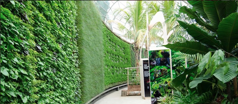 ROYAL BOTANIC GARDEN preview 5