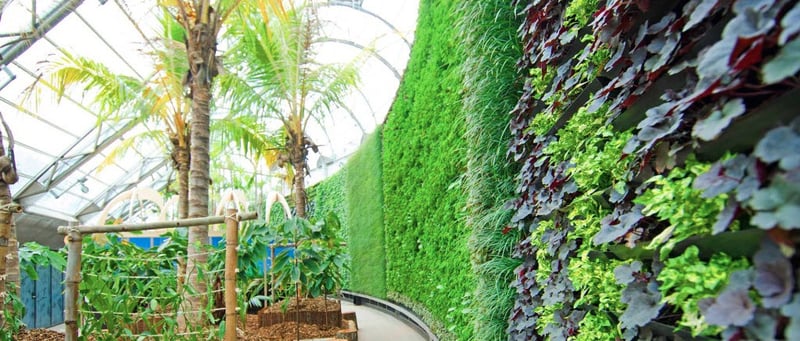ROYAL BOTANIC GARDEN preview 7
