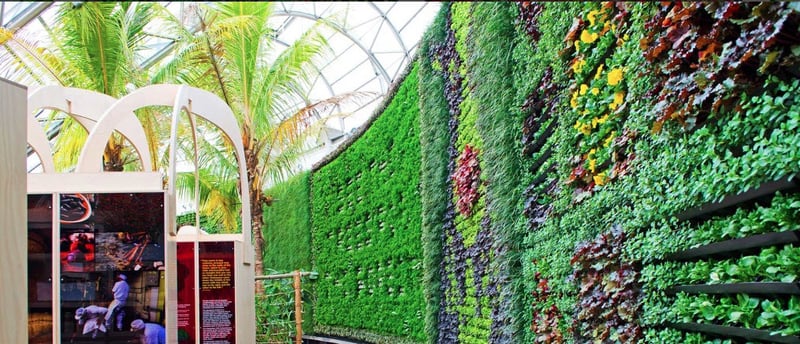ROYAL BOTANIC GARDEN preview 6