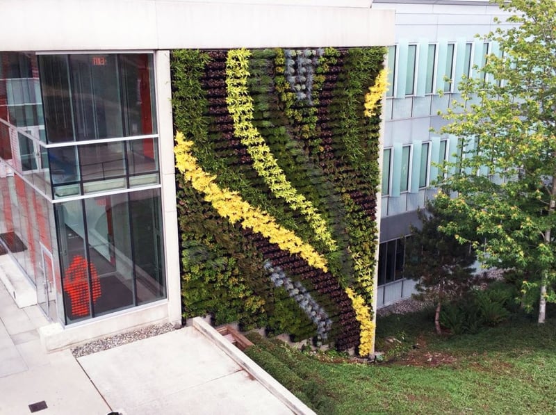 SIMON FRASER UNIVERSITY