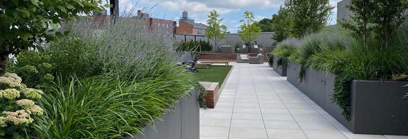 Roosevelt Parc preview 2