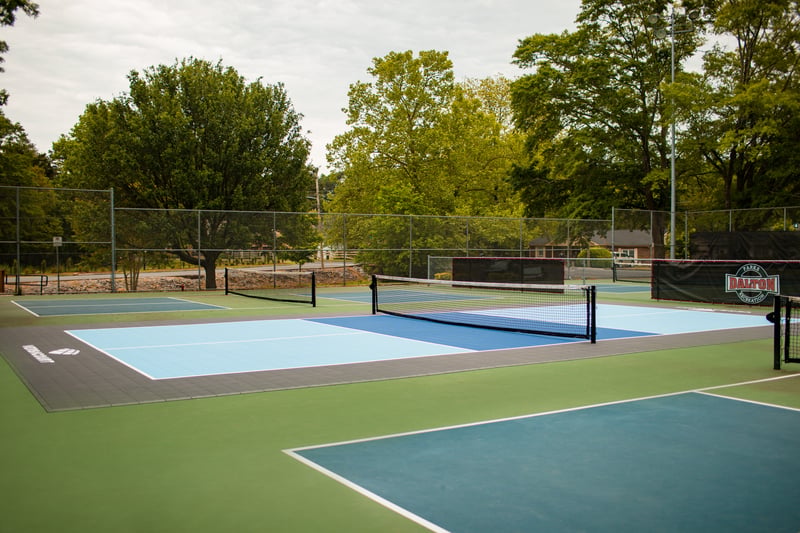 Recreational Pickleball Court preview 2