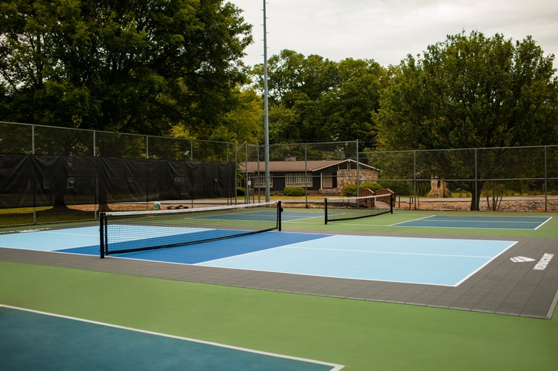 Recreational Pickleball Court preview 3