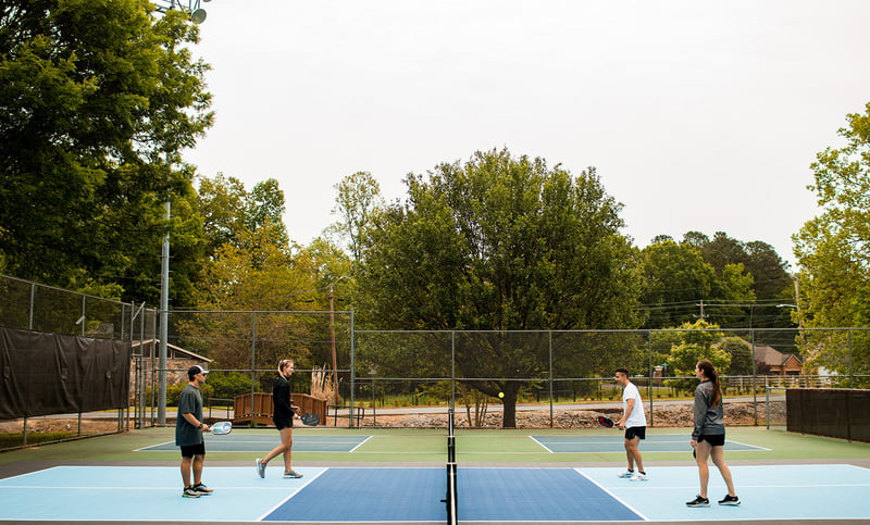 Recreational Pickleball Court preview 6