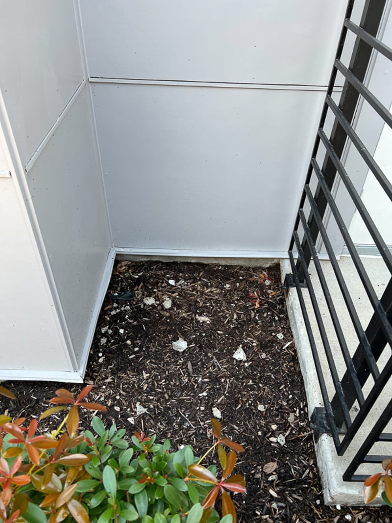 League City Remediation and Repair preview 3
