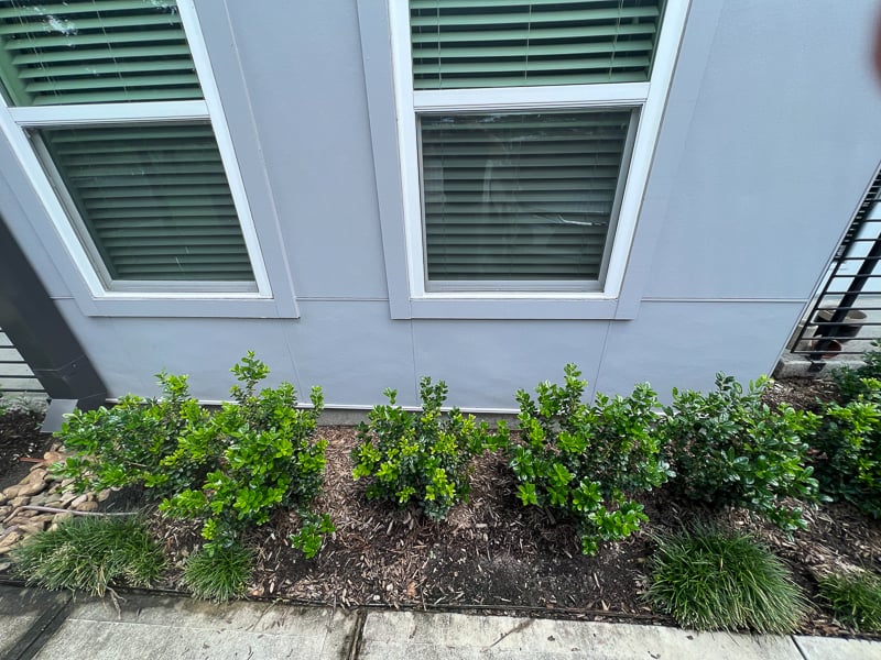 League City Remediation and Repair preview 11