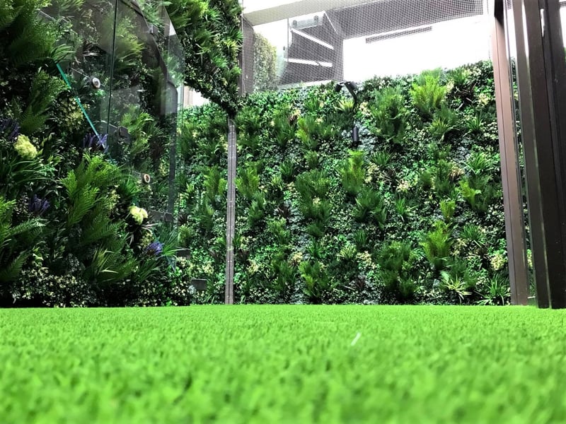 Covent Garden Basement Garden preview 2
