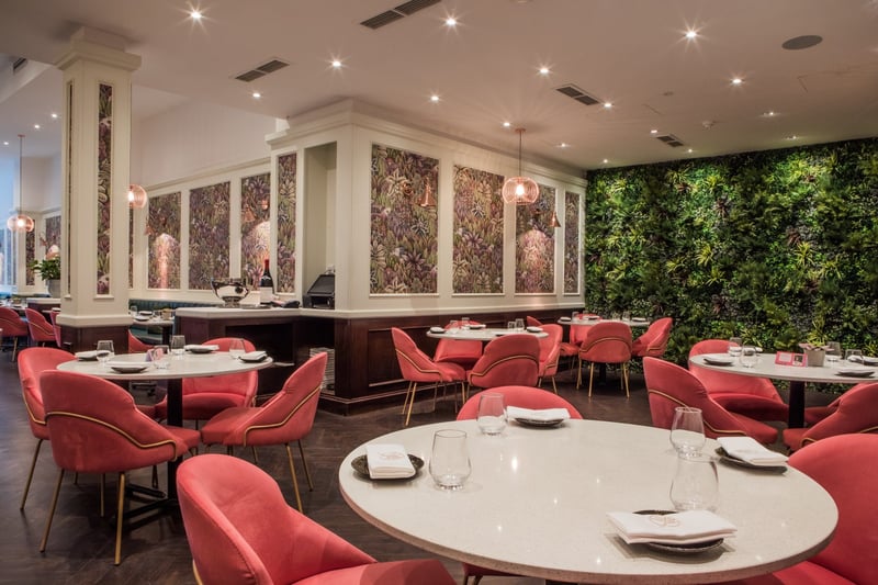 Ooty Restaurant preview 8