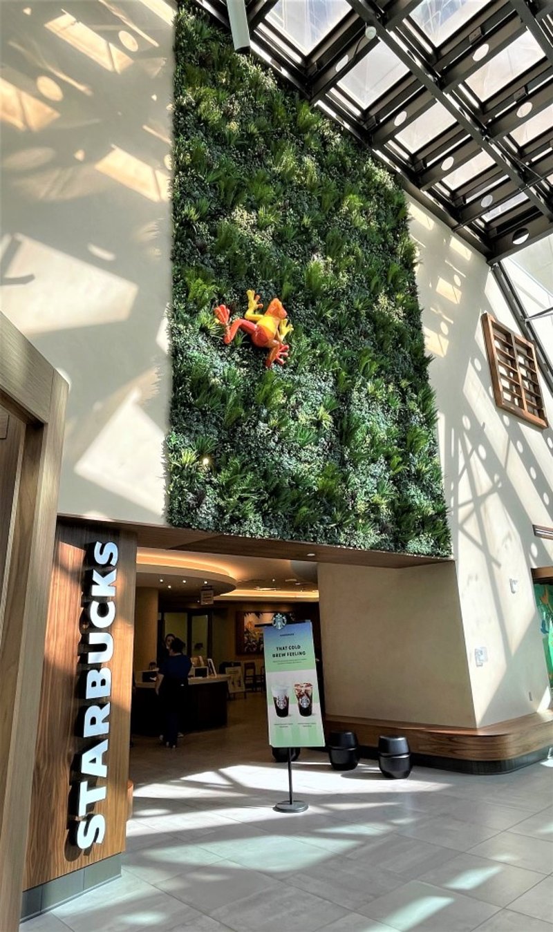 Starbucks @ The Children’s Medical Center preview 5