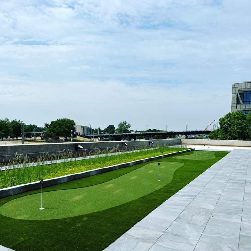 SYNLawn Golf preview 11