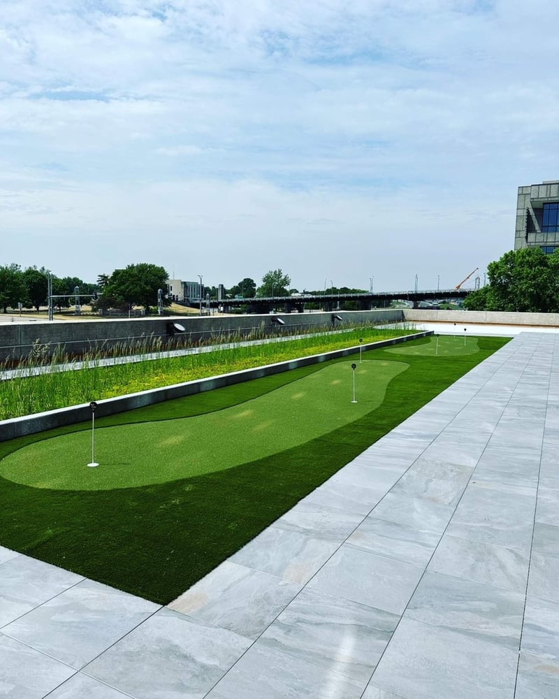 SYNLawn Golf preview 7