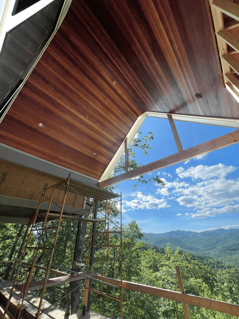 Brown Balau Ceiling  preview 4