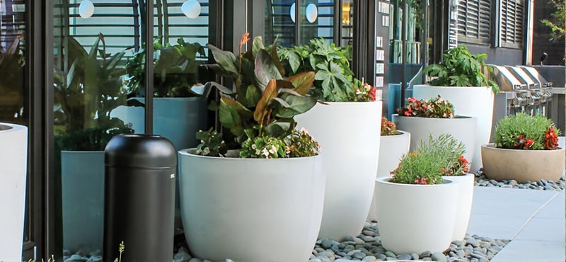 Emmi Midtown— Atlanta, GA