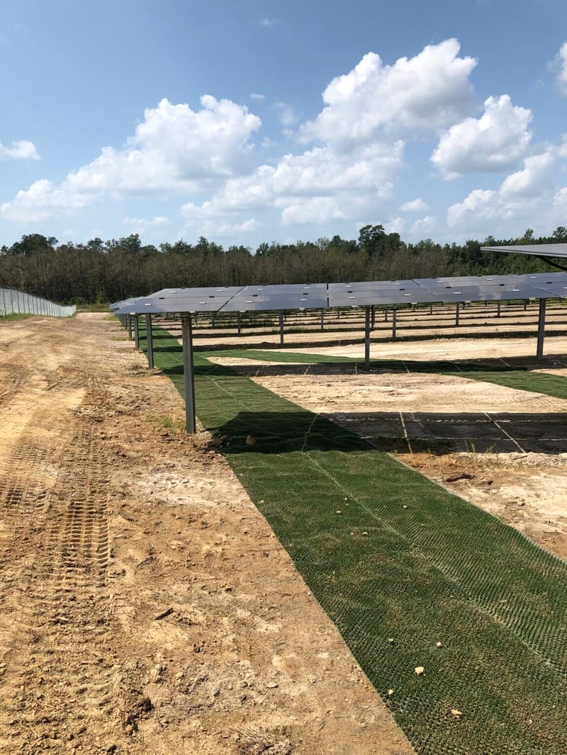 Pecan & Gutenberg Solar Farms preview 5
