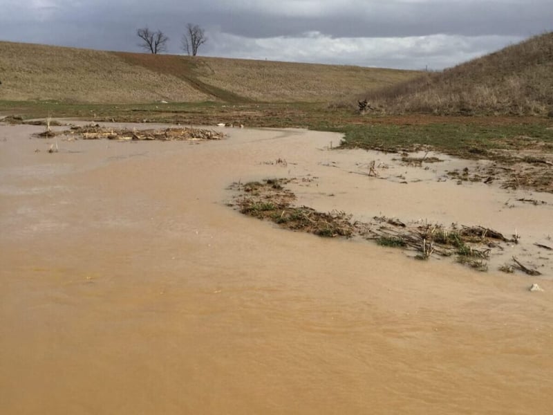 Peabody Streambank preview 3