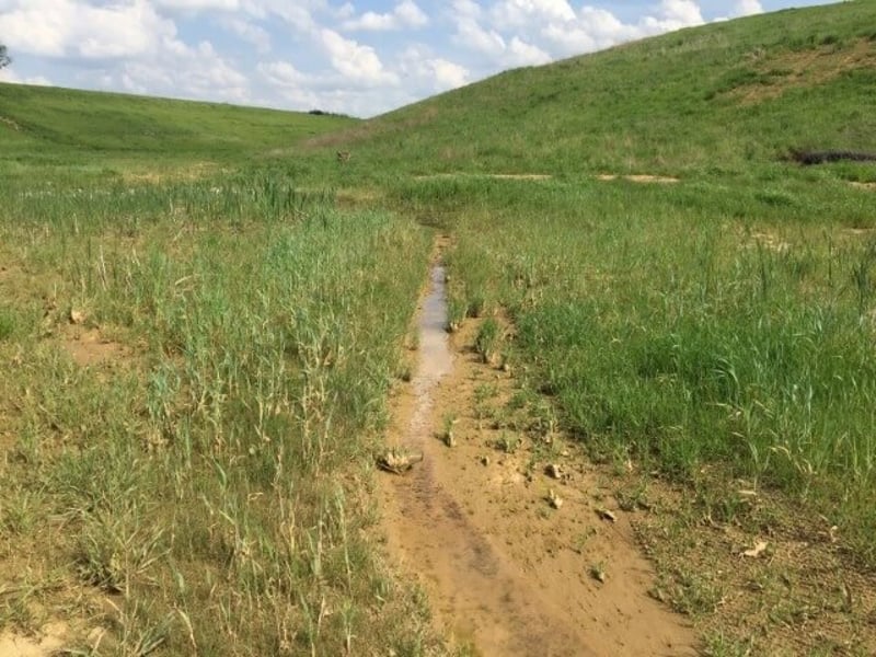 Peabody Streambank preview 4