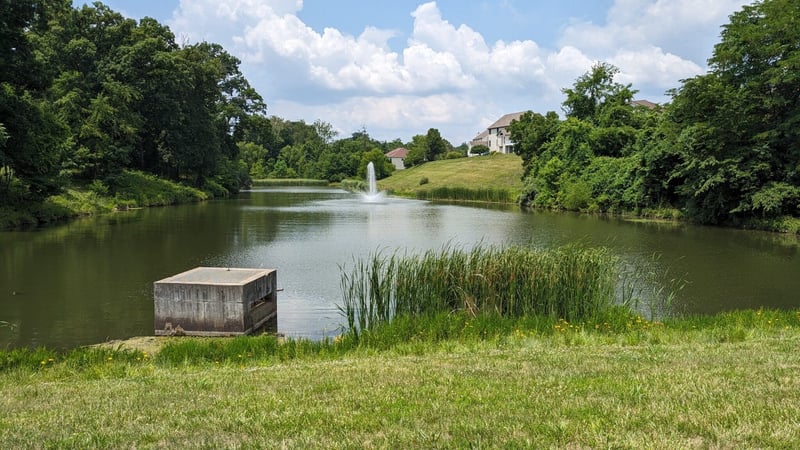 Chesterfield Residential Pondbank Stabilization preview 3