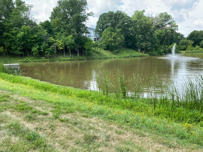Chesterfield Residential Pondbank Stabilization preview 4