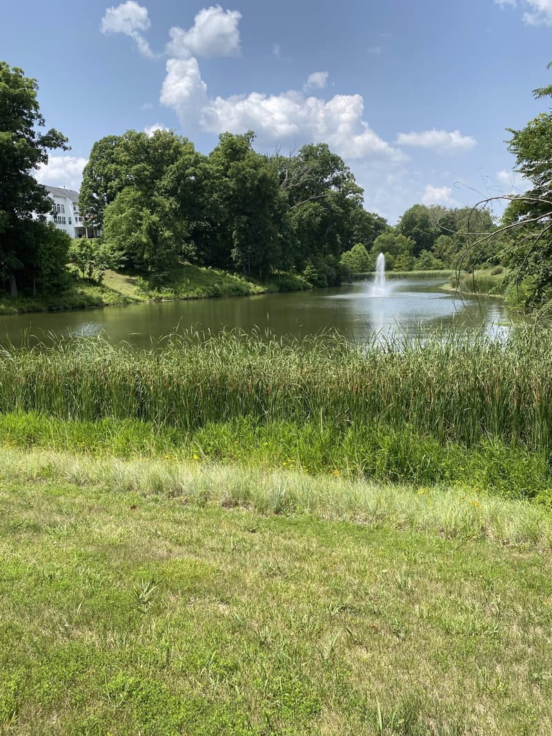 Chesterfield Residential Pondbank Stabilization preview 5