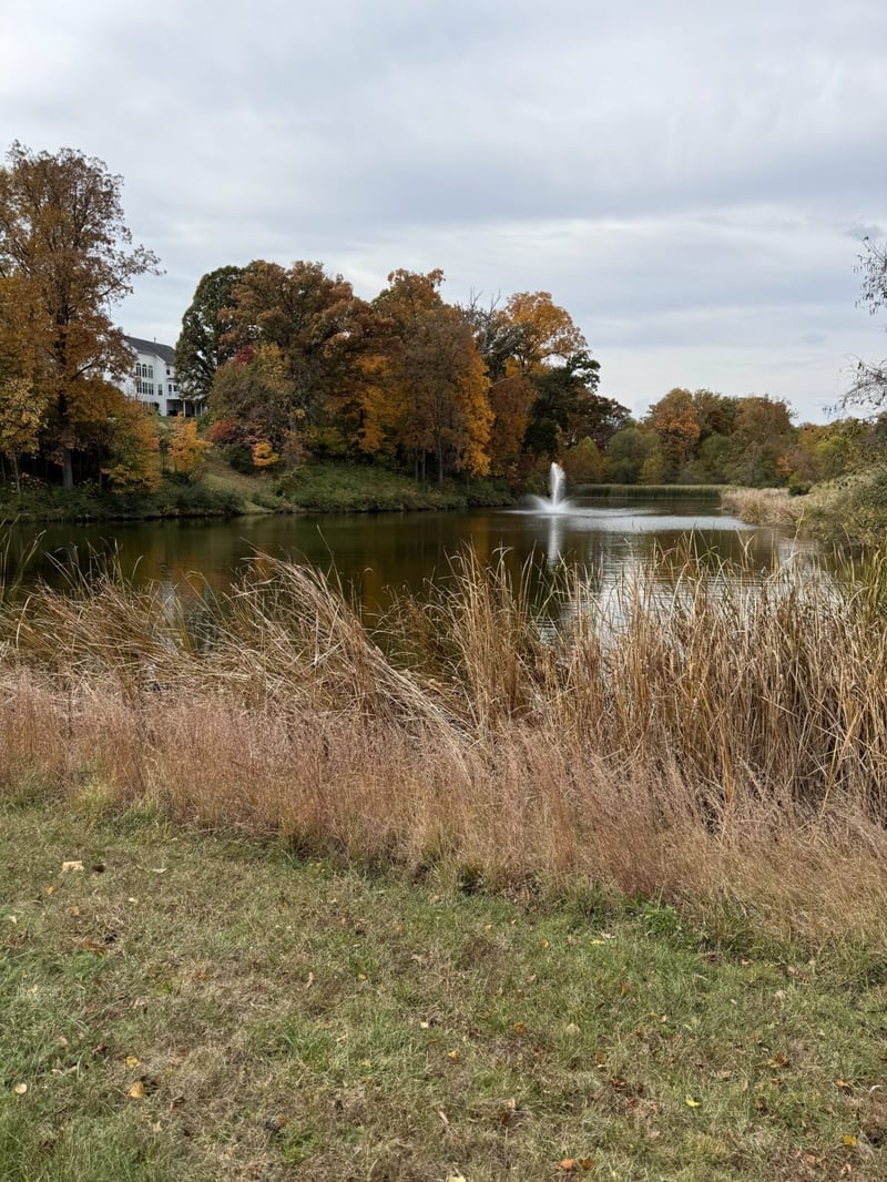 Chesterfield Residential Pondbank Stabilization preview 6