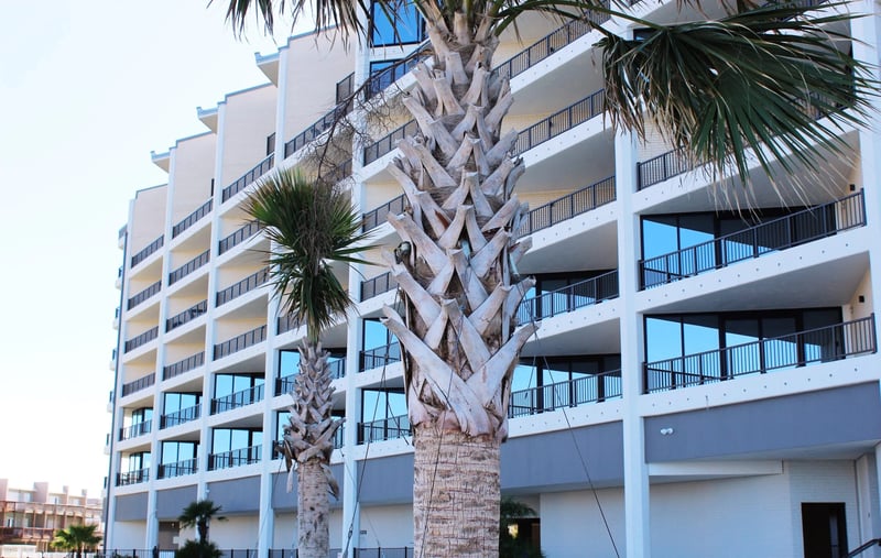 Cline’s Landing preview 5